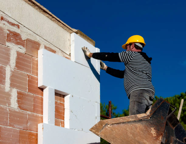 Best Residential Insulation in Mendota, IL