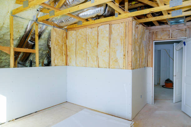 Best Geographic-Specific Insulation Services in Mendota, IL