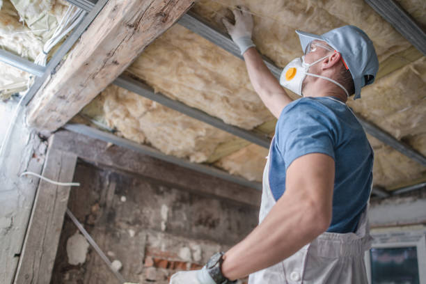Best DIY Insulation Kits and Guidance in Mendota, IL