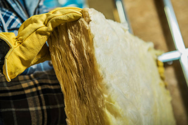 Best Commercial Insulation in Mendota, IL
