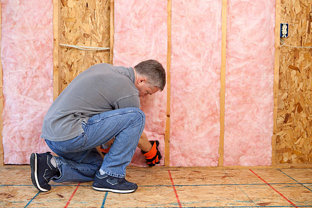Best Cellulose Insulation in Mendota, IL