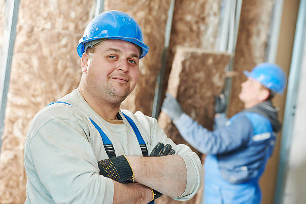Best Energy Efficiency Insulation in Mendota, IL
