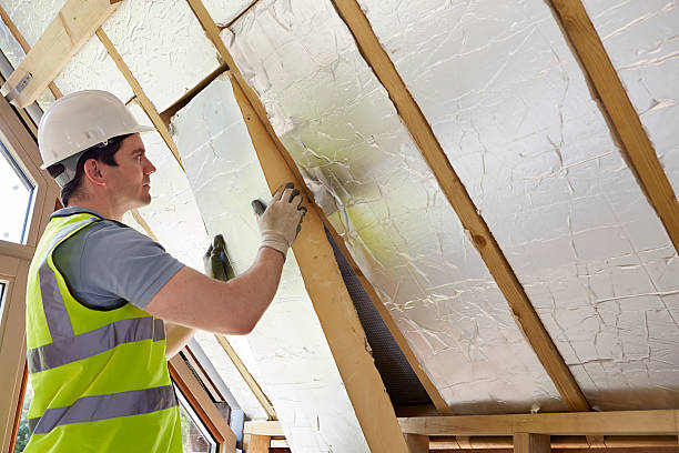 Best Insulation Maintenance and Repair in Mendota, IL